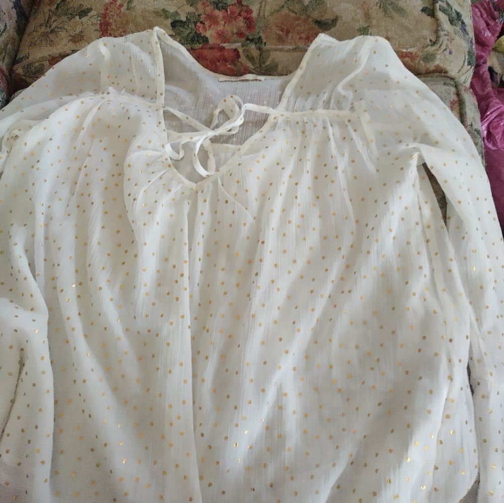 Sheer Hollister blouse